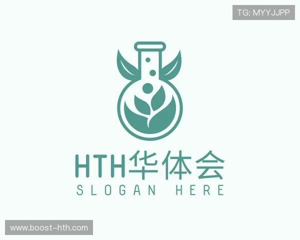 介绍hth华体会